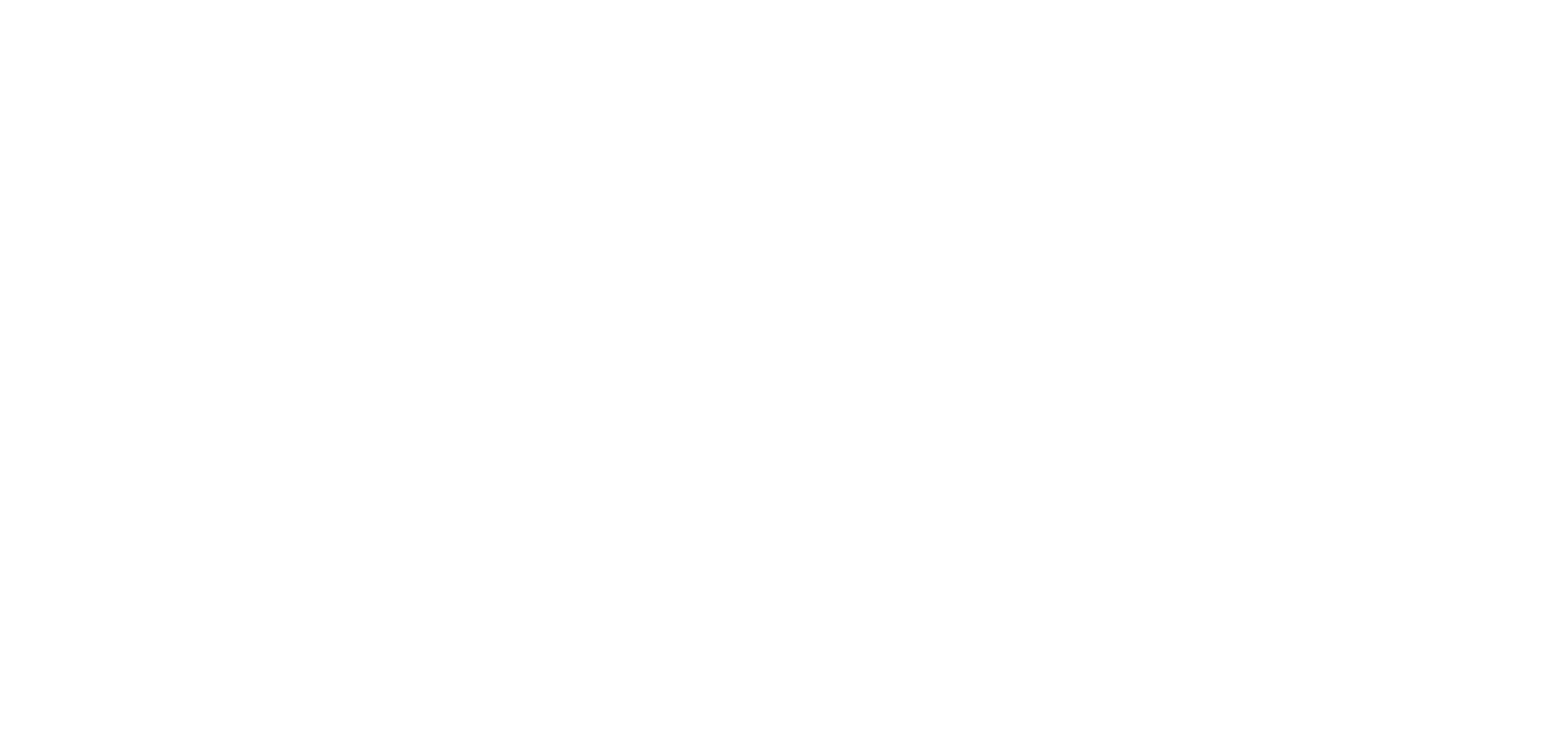 PIMS Logo